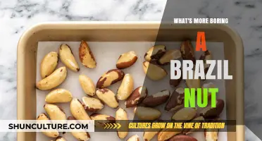 Brazil Nuts: The Surprisingly Dull Truth Behind Their Bland Reputation