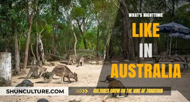 Exploring Australia's Night: Wildlife, Skies, and Unique Evening Culture