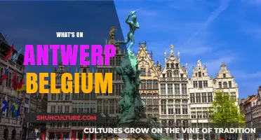 Discovering Antwerp: Belgium's Hidden Gem of Culture and History