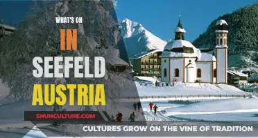 Seefeld's Summer Fun: Festivals, Sports, and More!