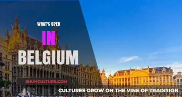 Discover Belgium's Open Attractions: A Guide to Unmissable Spots