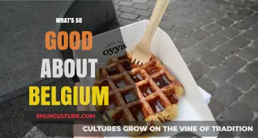 Discovering Belgium's Charms: A Journey Through Its Best Features