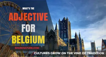 Exploring the Rich Culture and History of Belgium: A Comprehensive Guide