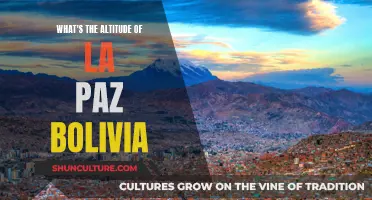 Altitude of La Paz: A City Above the Clouds