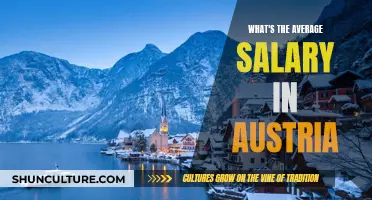 Salary Expectations in Austria: Average Income Explored