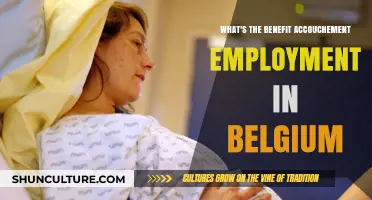 Exploring the Advantages of Accouchement Employment in Belgium