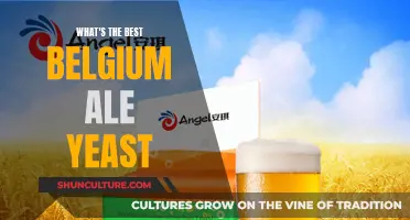 Exploring the Finest Belgium Ale Yeasts: A Brewer's Guide