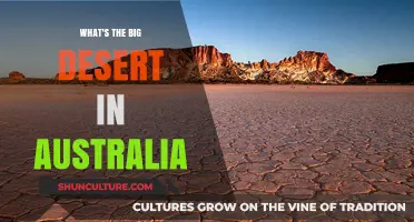 Exploring Australia's Vast Outback: The Great Sandy Desert