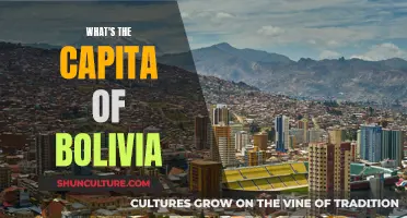 Exploring Bolivia: Understanding the Country's Capital City