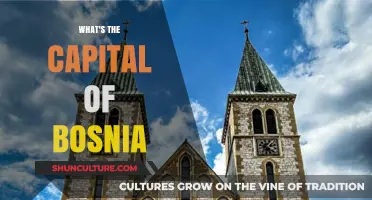 Discovering Bosnia's Capital: A Guide to Sarajevo's Rich History