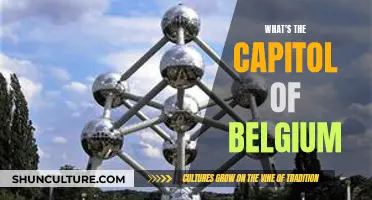 Exploring Brussels: The Vibrant Capital of Belgium