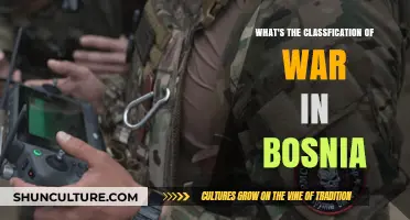 Understanding the Complex Classification of the Bosnian War