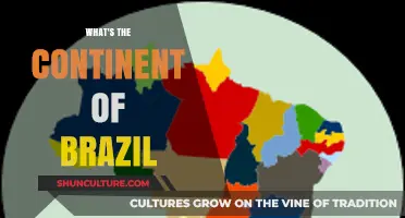 Exploring Brazil's Geographic Roots: Which Continent Does It Belong To?