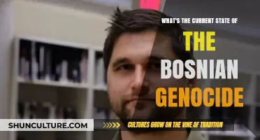 Bosnian Genocide Today: Legacy, Justice, and Ongoing Reconciliation Efforts