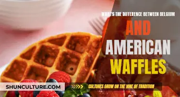 Exploring the Delicious Divide: Belgian vs. American Waffles