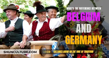Exploring the Unique Cultures and Histories of Belgium and Germany