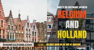 Exploring the Distinct Cultures and Histories of Belgium and Holland