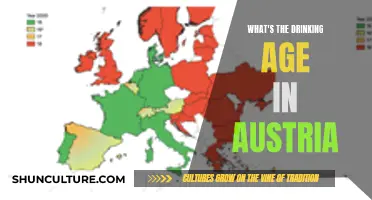 A Guide to Austria's Legal Drinking Age: What You Need to Know