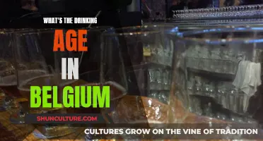 Exploring Belgium's Drinking Age: A Cultural and Legal Perspective