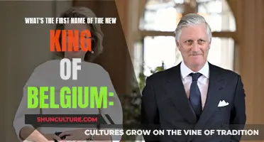 Meet Philippe: The New King of Belgium Ascends the Throne