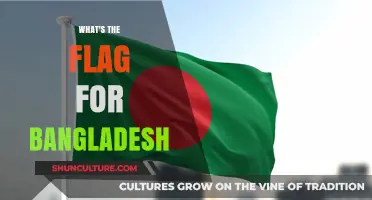 Exploring Bangladesh's National Flag: Colors, Symbolism, and Historical Significance