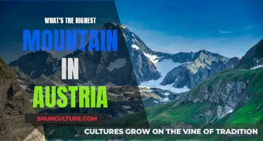 Austrian Alpine Adventure: Scaling the Nation's Highest Peak