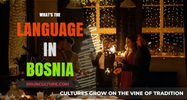 Discovering Bosnia's Official Languages: A Cultural and Historical Overview