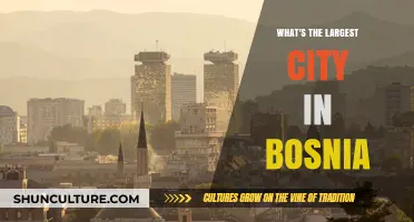 Discovering Bosnia's Urban Giant: The Largest City Revealed