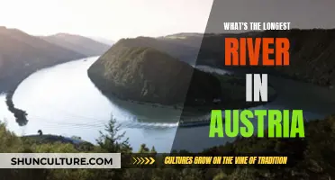 Exploring Austria's Longest River: A Natural Wonder Revealed