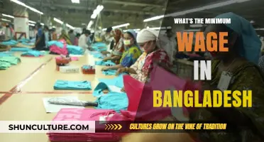 Understanding Bangladesh's Minimum Wage: Current Rates and Economic Impact