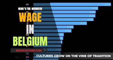 Exploring Belgium's Minimum Wage: A Comprehensive Guide