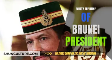 Who is the President of Brunei?