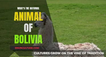 Exploring Bolivia's National Animal: A Cultural Icon Unveiled