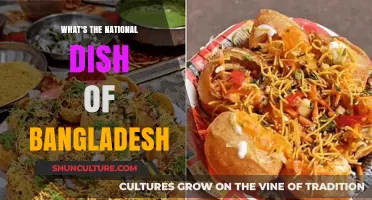 Exploring Bangladesh's Culinary Pride: The National Dish Unveiled