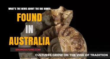 Big Bone Discovery: Ancient Australia's Giant Beasts
