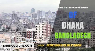 Dhaka's Population Density: Unveiling Bangladesh's Crowded Capital City