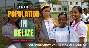 Belize Population: How Many?