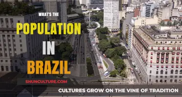 Exploring Brazil's Population: Current Figures and Growth Trends Revealed