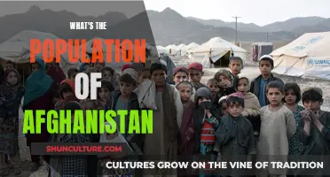 The Ever-Changing Population of Afghanistan: A Complex Demographic Equation