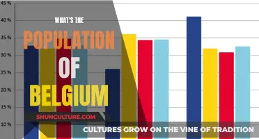 Exploring Belgium: A Look at Its Population and Demographics