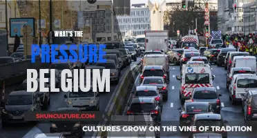 Unveiling the Pressure: A Deep Dive into Belgium's Challenges