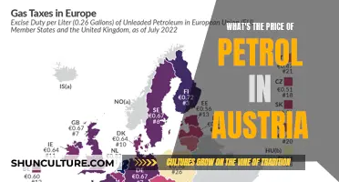 Petrol Prices in Austria: A Comprehensive Guide