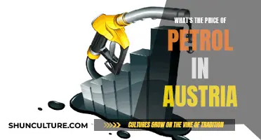 Petrol Prices in Austria: How Much Does It Cost?
