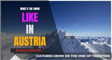 Exploring Austria's Winter Wonderland: Snow Conditions and More!
