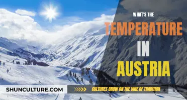 Austria's Chilly Charm: Exploring Temperatures from Winter to Summer