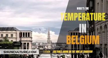 Exploring Belgium's Climate: A Guide to Average Temperatures