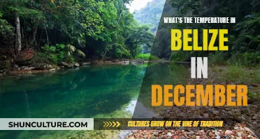 Belize Weather in December: Sunny and Warm