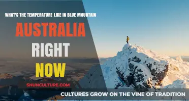 Blue Mountain Australia's Current Temperature: A Real-Time Weather Update