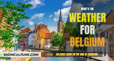 Sunny Skies and Gentle Breezes: Belgium's Delightful Weather Forecast