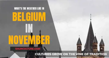 November in Belgium: A Month of Chilly Rains and Cozy Evenings